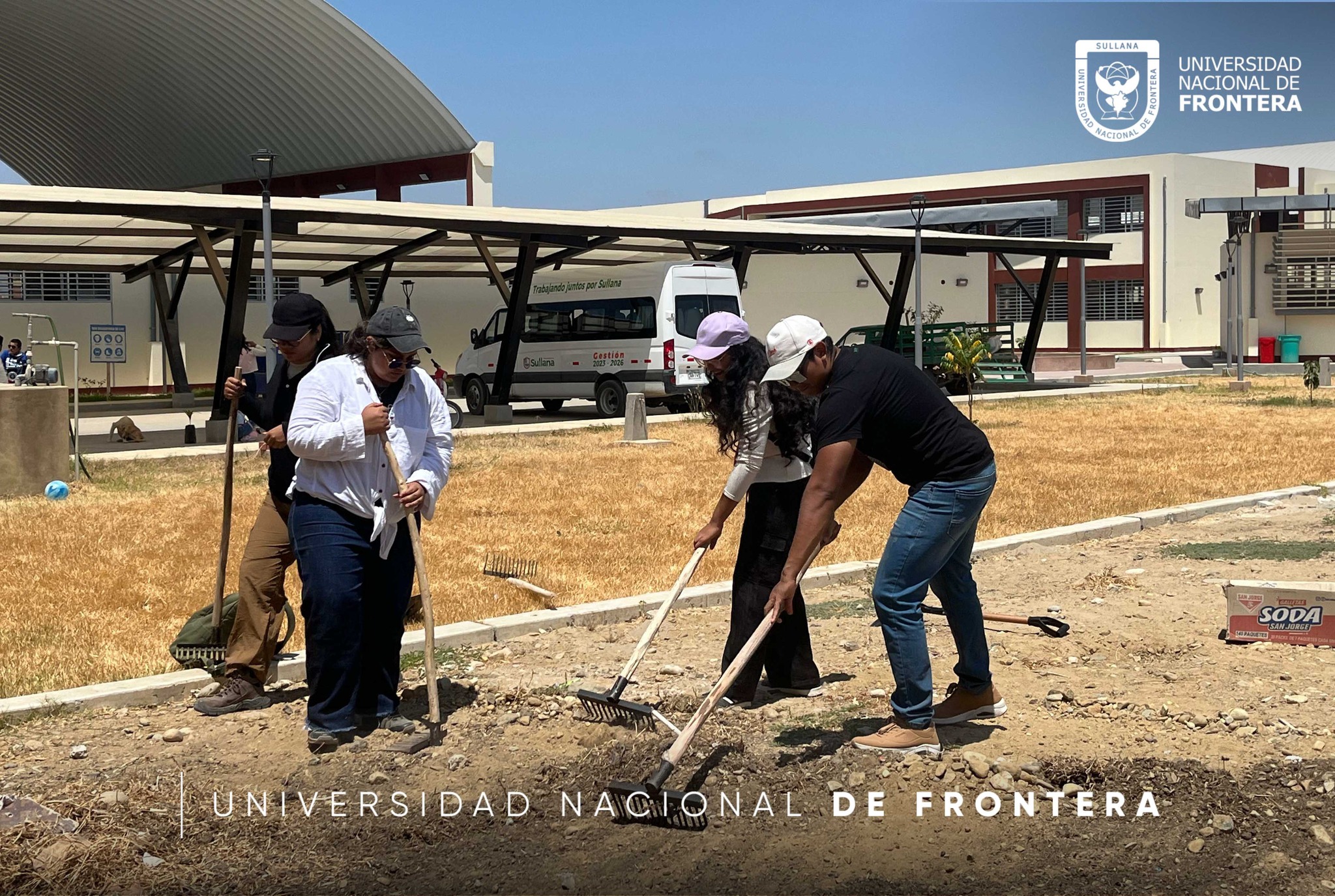 RUA reforesta Jornada de reforestación en Jíbito por el Día del Árbol en el Perú 2