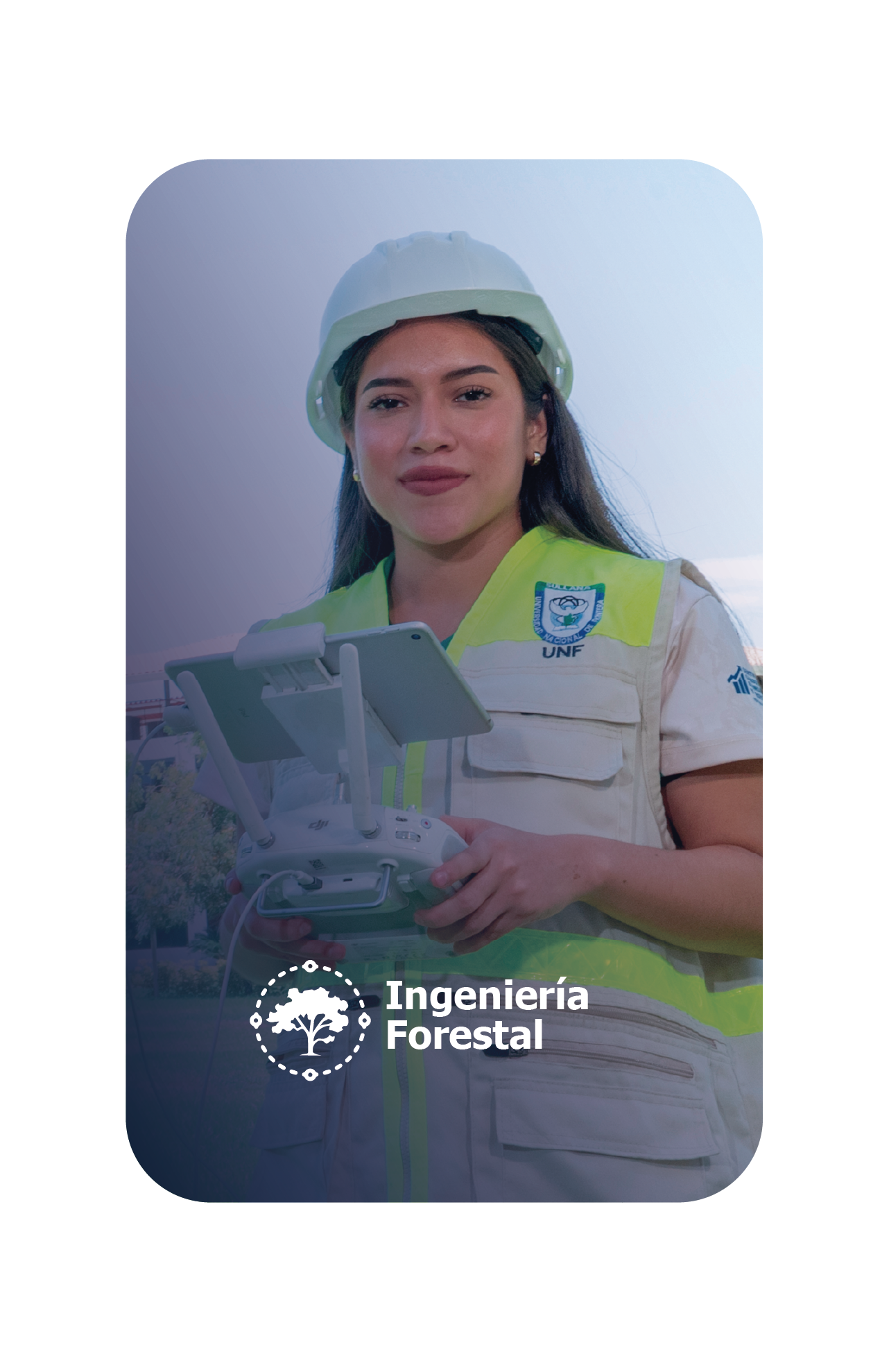 imagen forestal