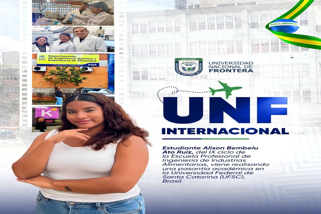 Investigación con visión internacional